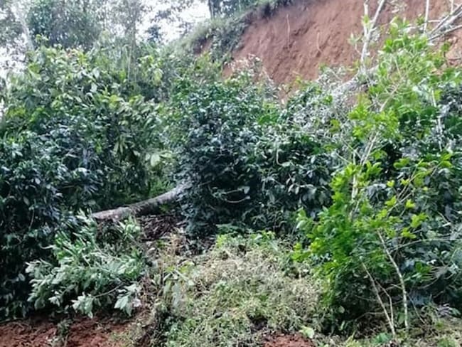 La vereda Travesías de Calarcá se encuentra afectada por 4 deslizamientos