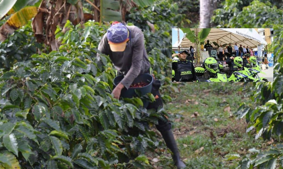 Plan Cosecha Cafetera, archivo Caracol Radio