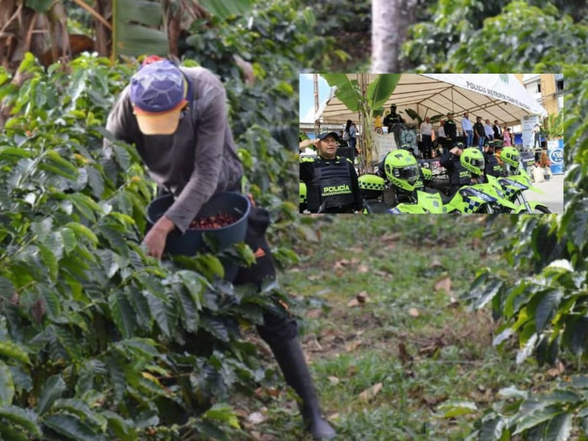 Hemos georreferenciado las fincas cafeteras para prevenir delitos: Policía Manizales