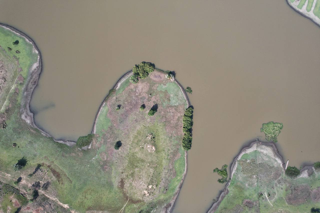 El predio El Paraíso fue entregado el 10 de febrero pasado a campesinos de San Marcos. Llevan a cabo un proyecto en convenio con el Ministerio de Ciencia. Foto/SAE