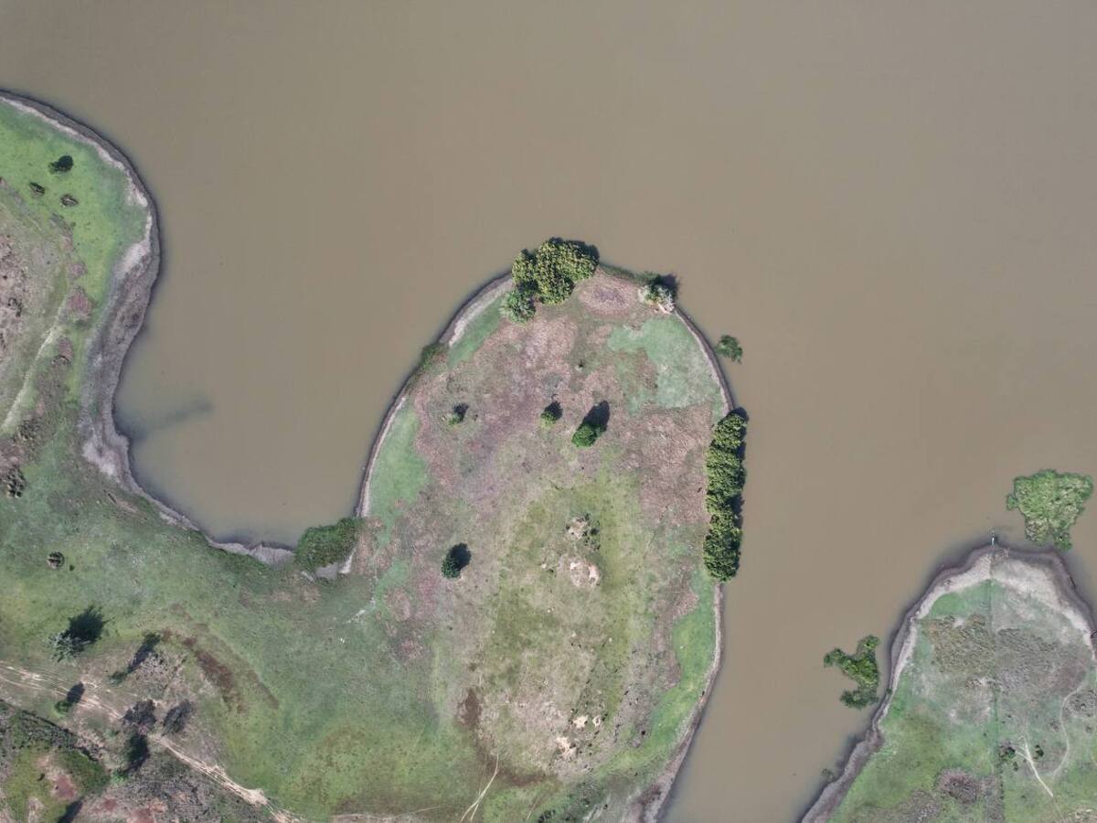 Petro pide a un concejal de San Marcos retirarse de un predio entregado a campesinos