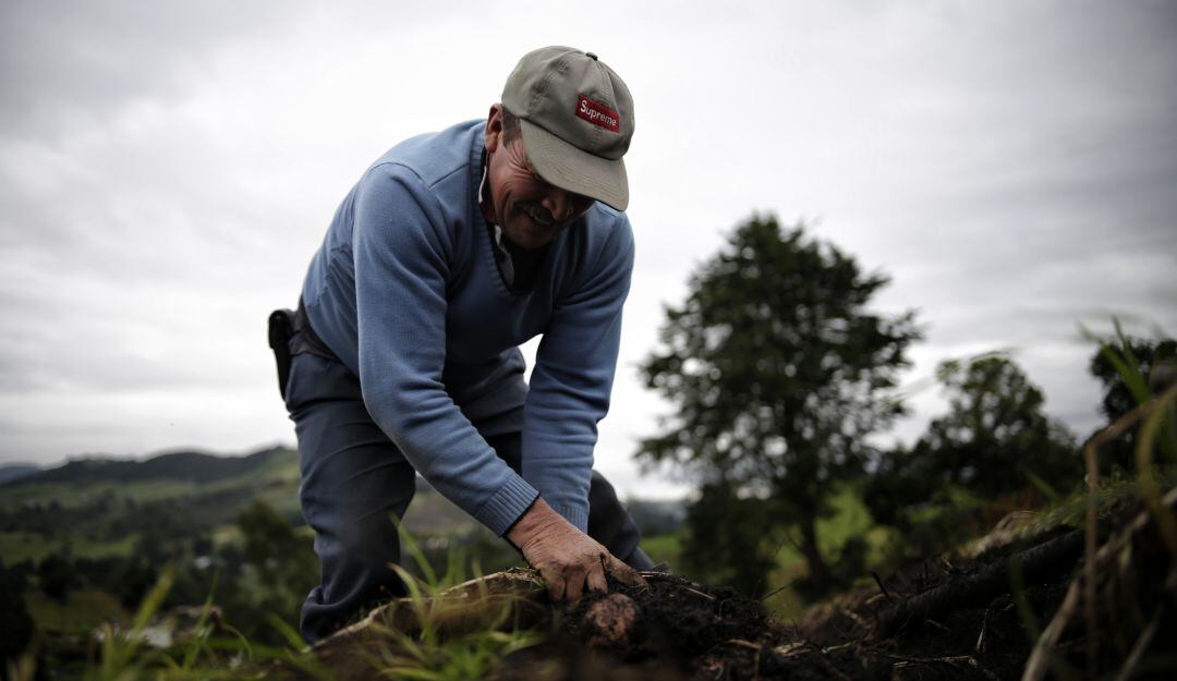 Imagen de referencia de campesino