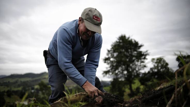 Proyecto de Ley busca dignificar el trabajo en el sector agropecuario