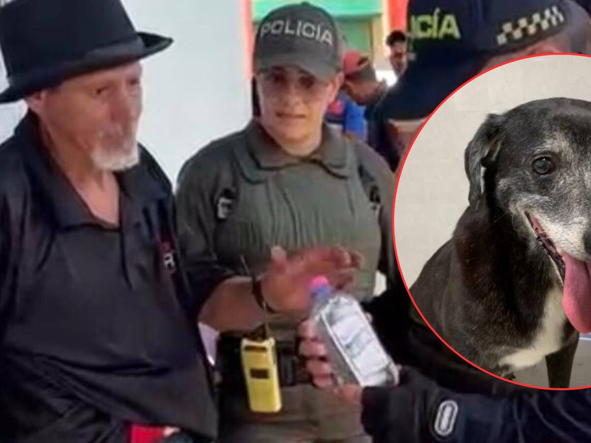 ¿Qué sucedió con el perro al que su dueño obligó a beber alcohol en Bucaramanga? Aquí le contamos