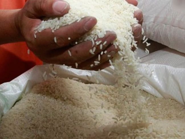 Industria molinera comprará 900.000 toneladas de arroz hasta septiembre