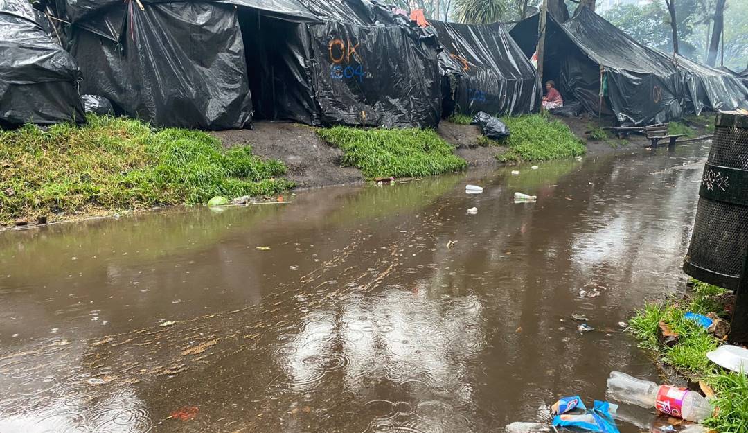 Parque Nacional - Claudia Camila Vargas 