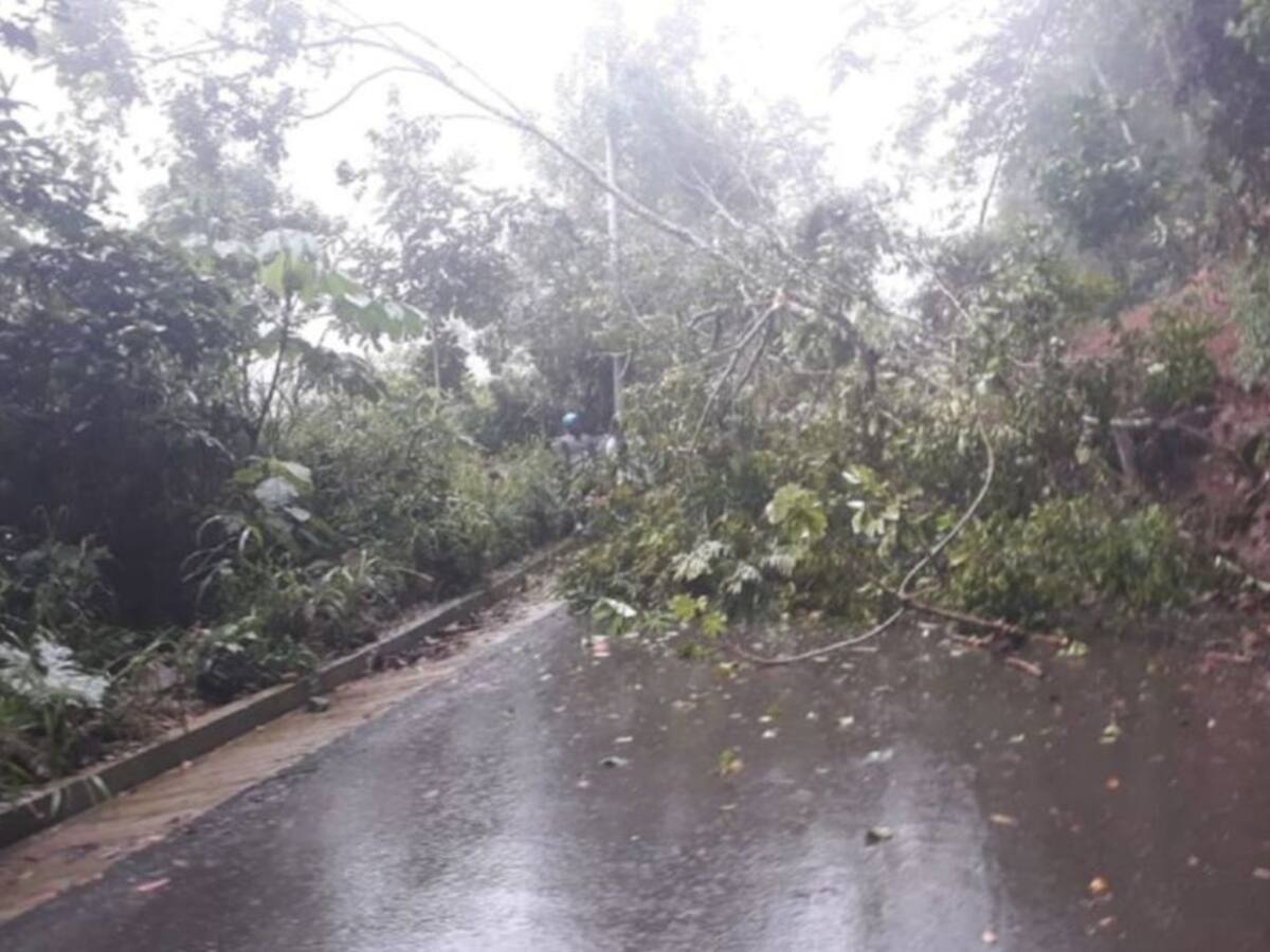 Deslizamientos de tierra en tres municipios de Risaralda por las lluvias