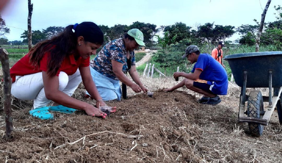 Mujeres sembrando plantas aromáticas en Caquetá