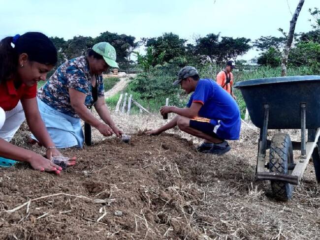 Mujeres sembrando plantas aromáticas en Caquetá