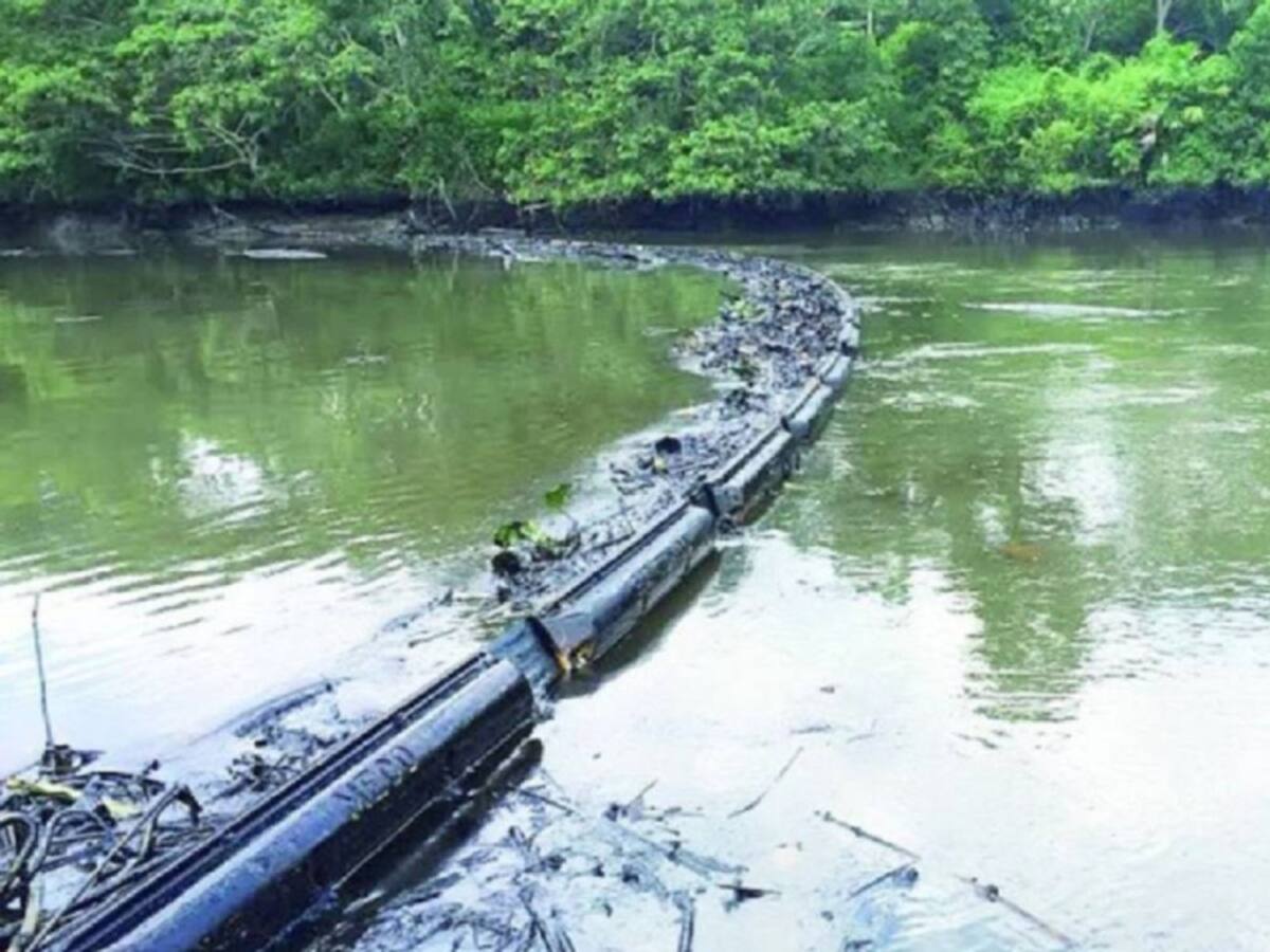 Aumenta preocupación por daño ambiental en el Catatumbo