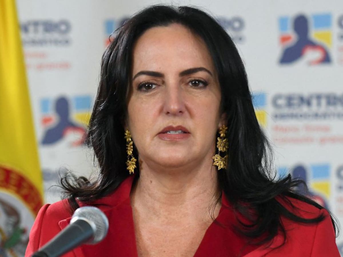 Cabal: “Debemos contarle a los niños cómo FARC cometía delitos contra ellos”