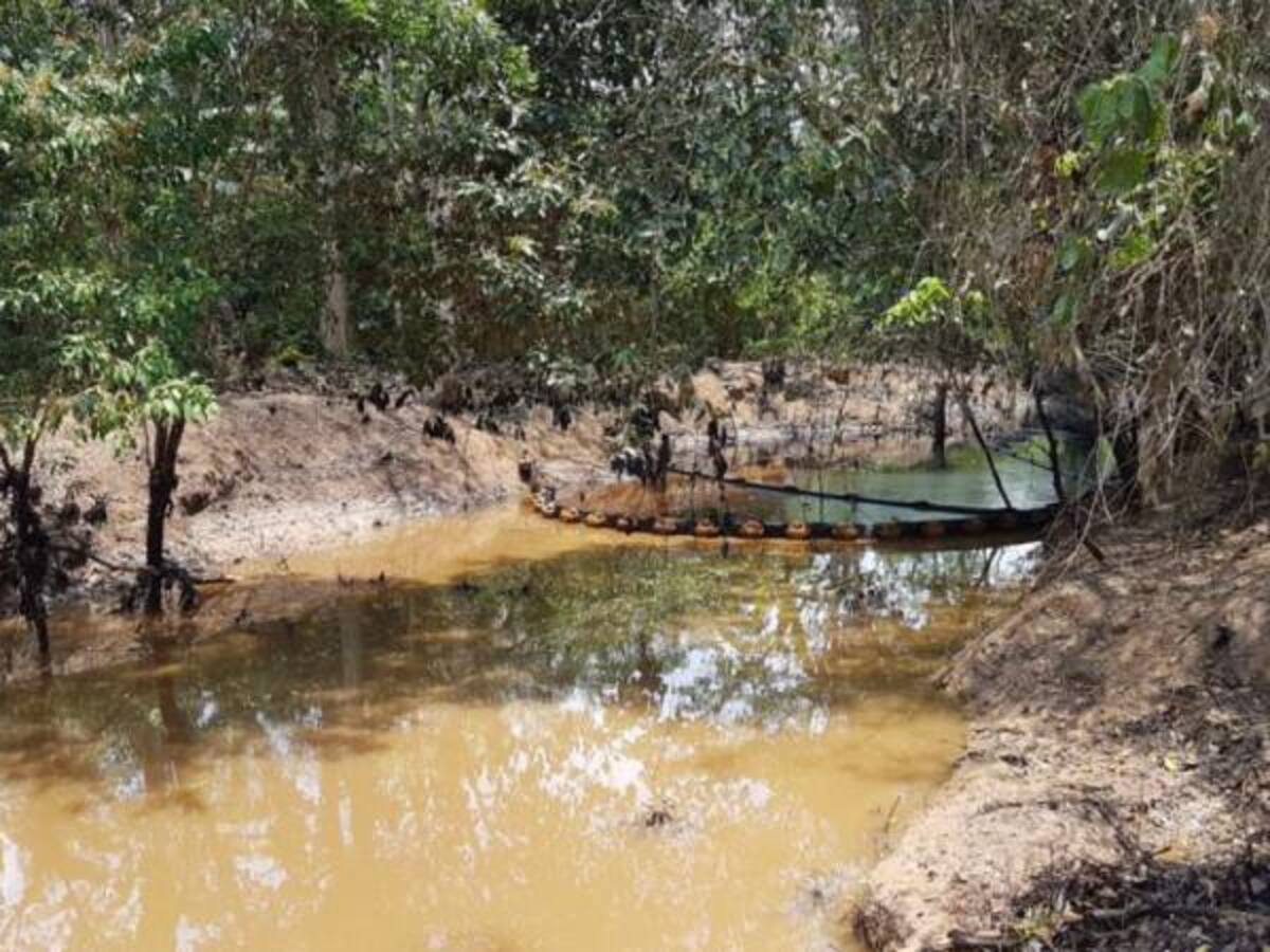 Ecopetrol no debe minimizar la tragedia en Santander: ambientalista