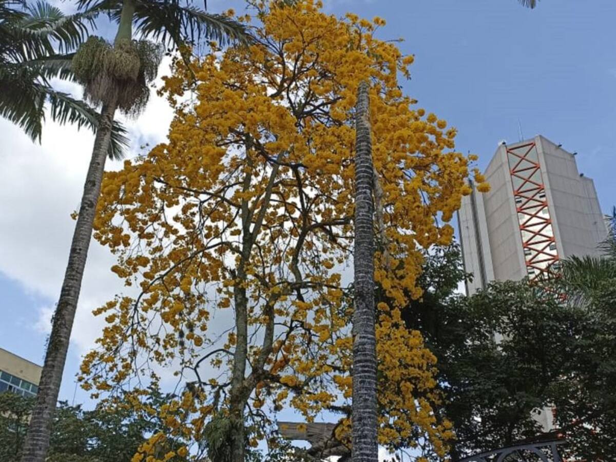 Jueves 3 de Febrero, las principales noticias de Armenia y Quindío