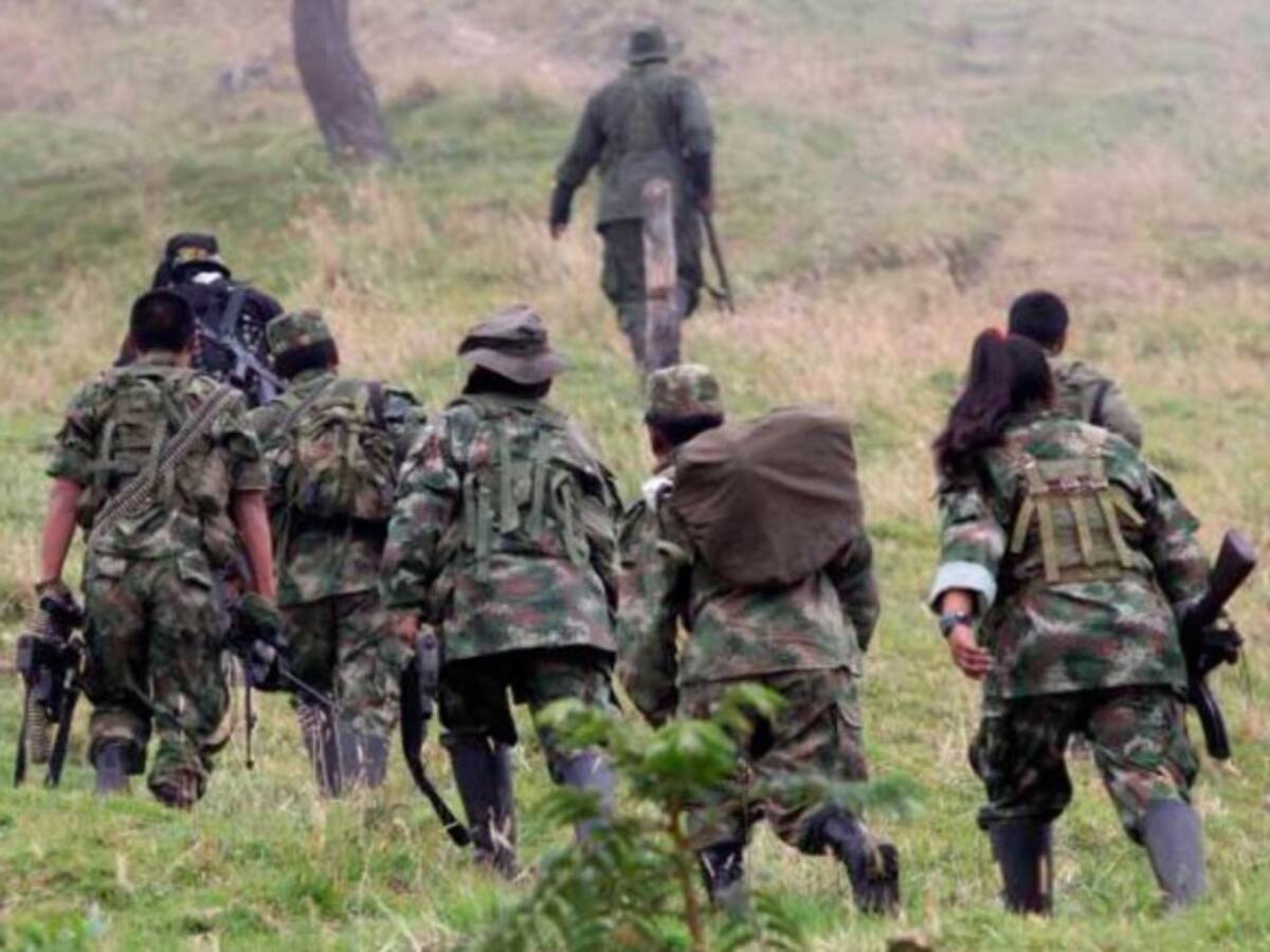 Permanencia de excombatientes de las Farc en el Régimen Contributivo depende del cese el fuego