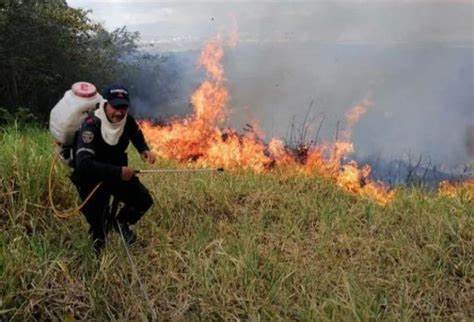 Cerca de 150 hectáreas consumidas por el fuego en Palermo.