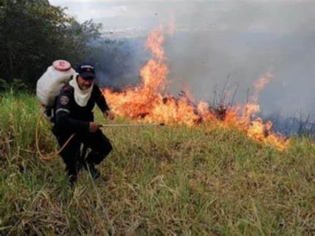 Cerca de 150 hectáreas consumidas por el fuego en Palermo.