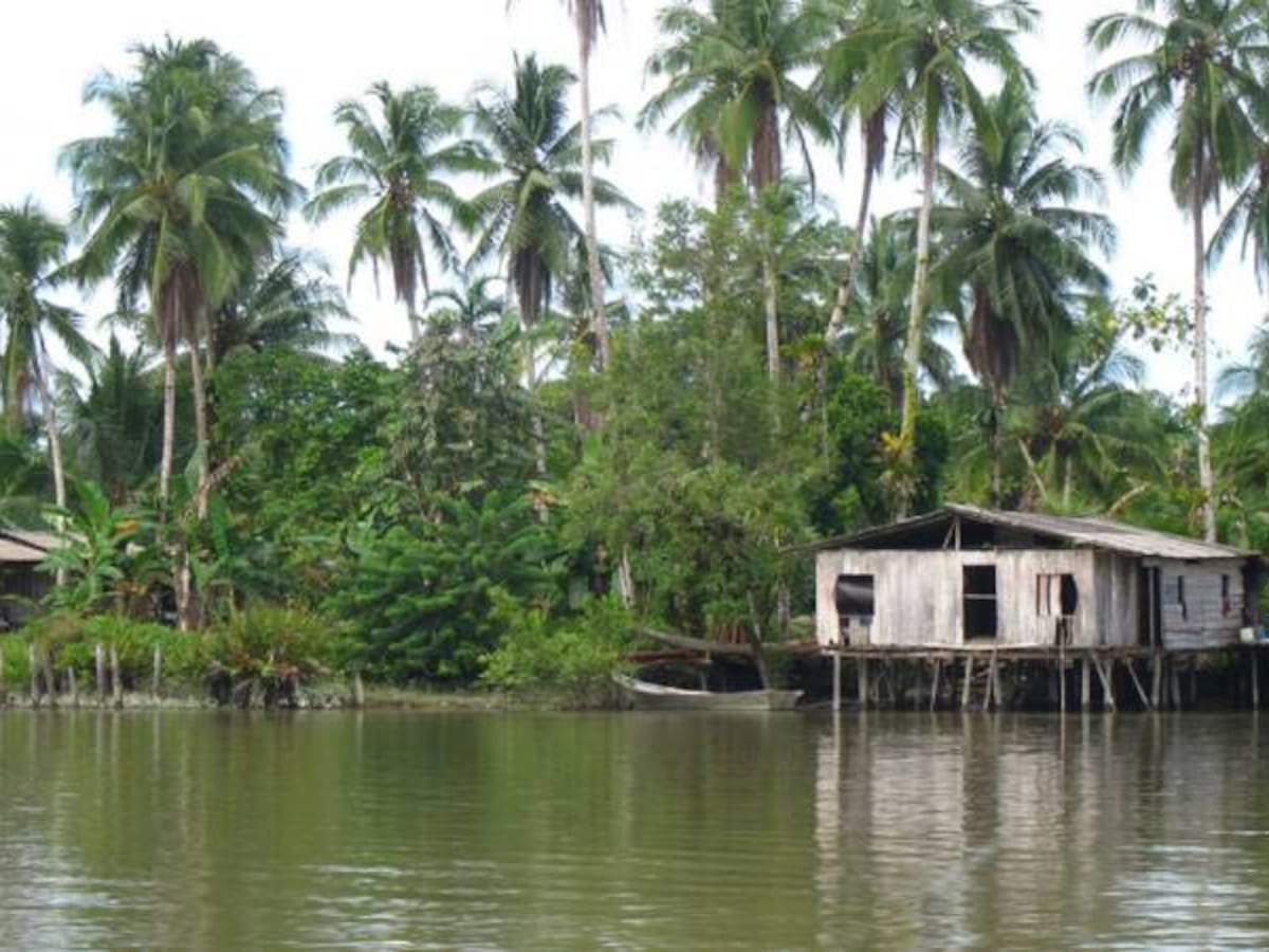 Buscan a 3 miembros del Consejo Comunitario del río Naya