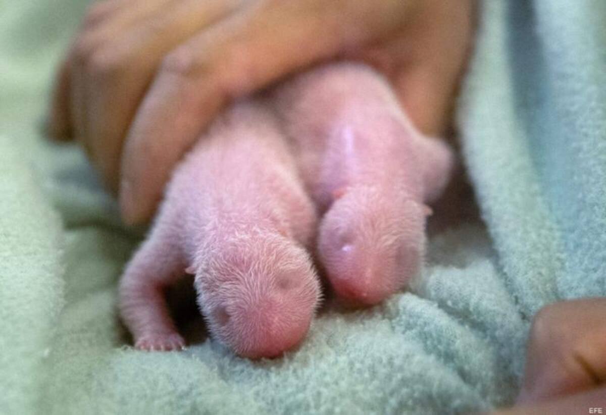 Foto:http://www.huffingtonpost.es/