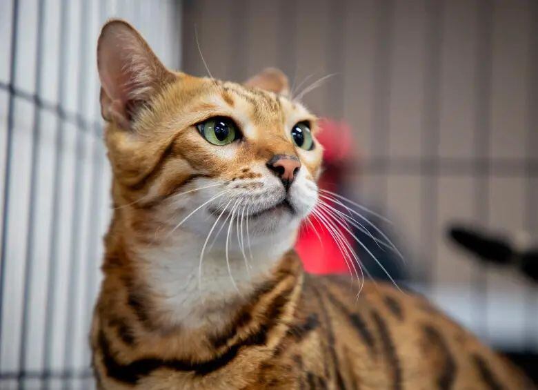 Foto: Colprensa (archivo)