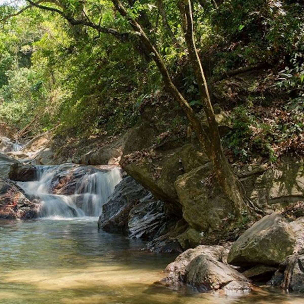 Minca en el top 10 de los destinos más acogedores de Colombia