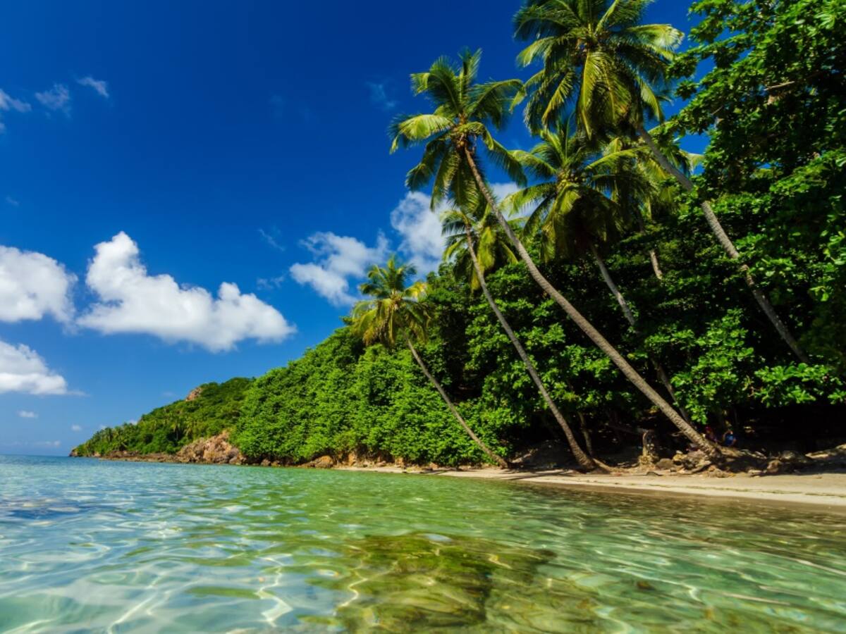 Córdoba: bondades ambientales del caribe colombiano