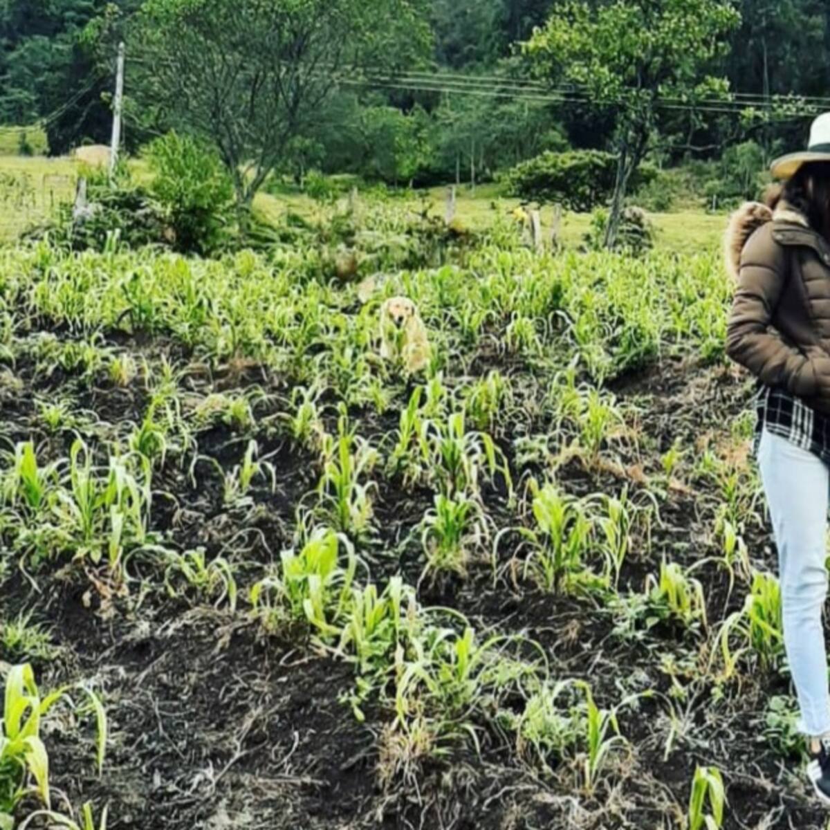 Volver al campo en la pandemia, el espíritu de una sicóloga emprendedora