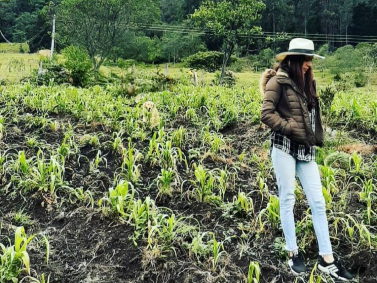 Volver al campo en la pandemia, el espíritu de una sicóloga emprendedora