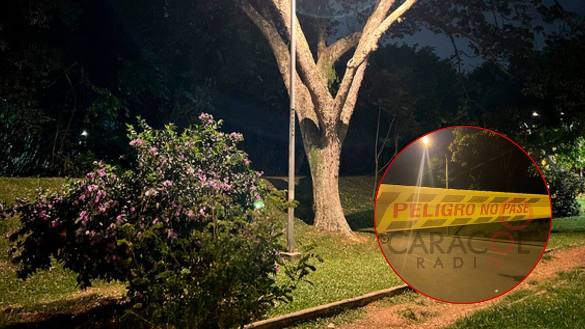 Intento de hurto termina en el asesinato de un joven en un parque del sur de Cali