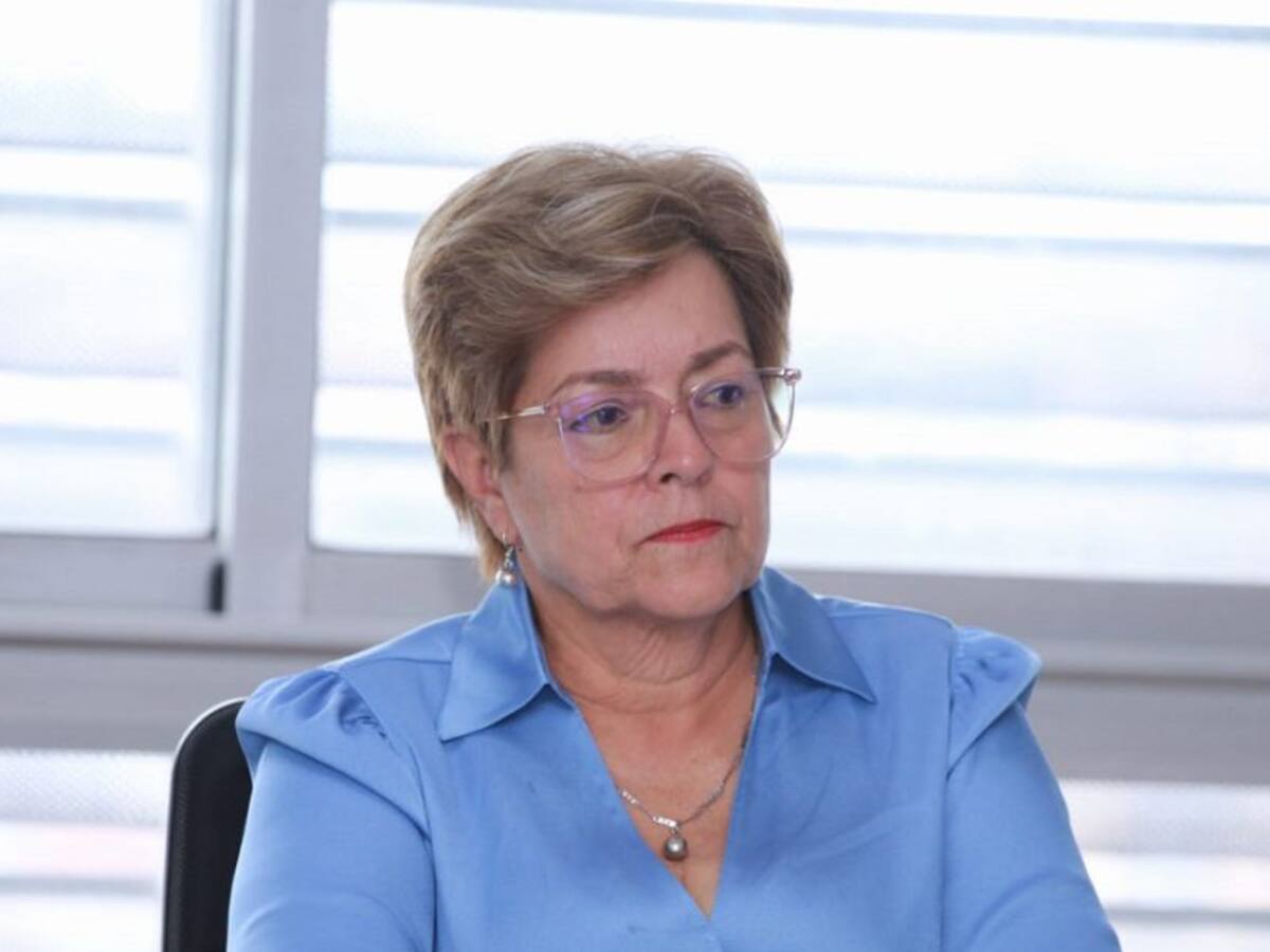 "Es frágil el Sistema de Inspección Vigilancia y Control": MinTrabajo