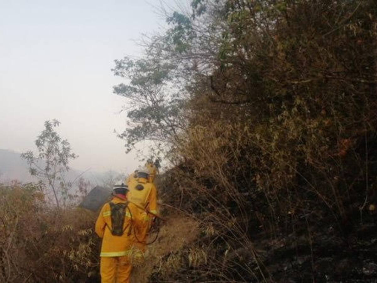 Unas 50 hectáreas de bosque fueron arrasadas por un incendio forestal en Liborina