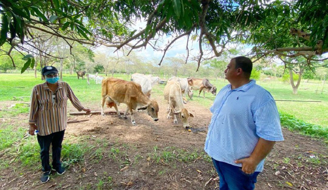 Escuela  Bilingüe Formadora de Campesinos, en el municipio de Algarrobo, Magdalena