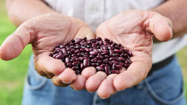 Fríjoles colombianos