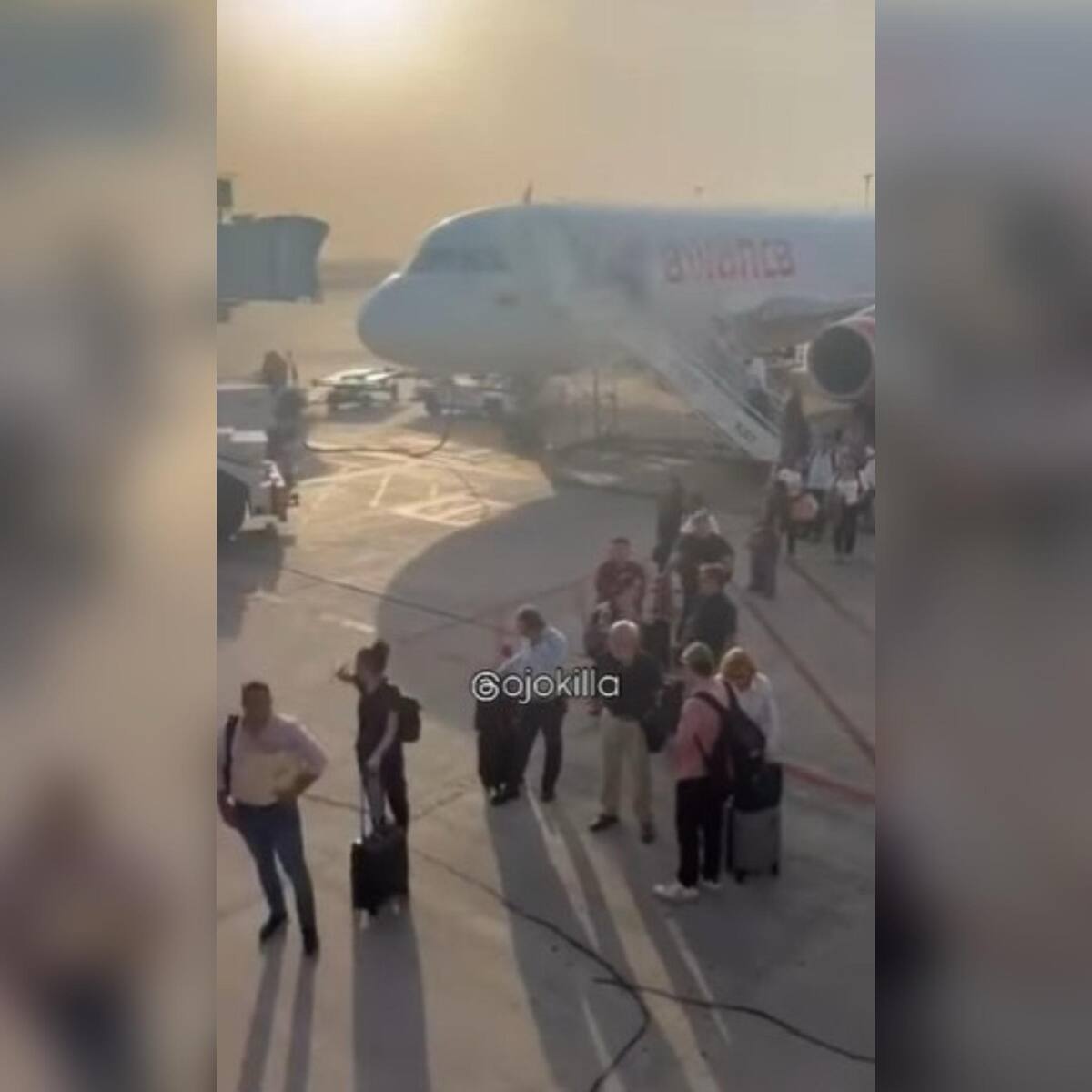 Pasajeros bajo el sol y sin aire: nuevas quejas contra el servicio en el Cortissoz