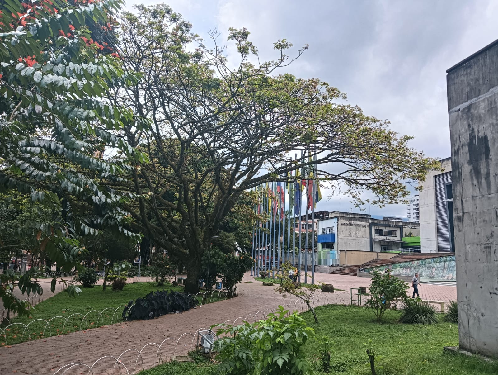 Plazoleta de la quindianidad al lado del CAM y el concejo de Armenia, Foto: Adrián Trejos