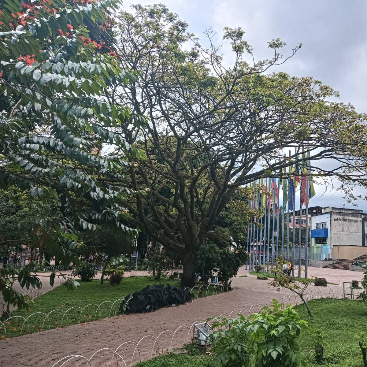 Miércoles 9 de julio, las noticias más importantes de Armenia y Quindío