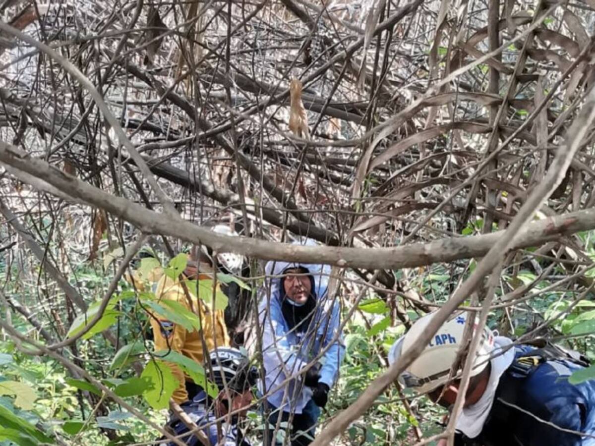 Ataque de abejas africanizadas en Carmen de Apicalá en el Tolima