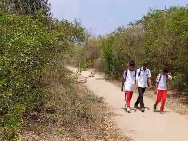 Estudiantes de zona rural de Plato se ven obligados a caminar 5 kilómetros // Imagen cortesía