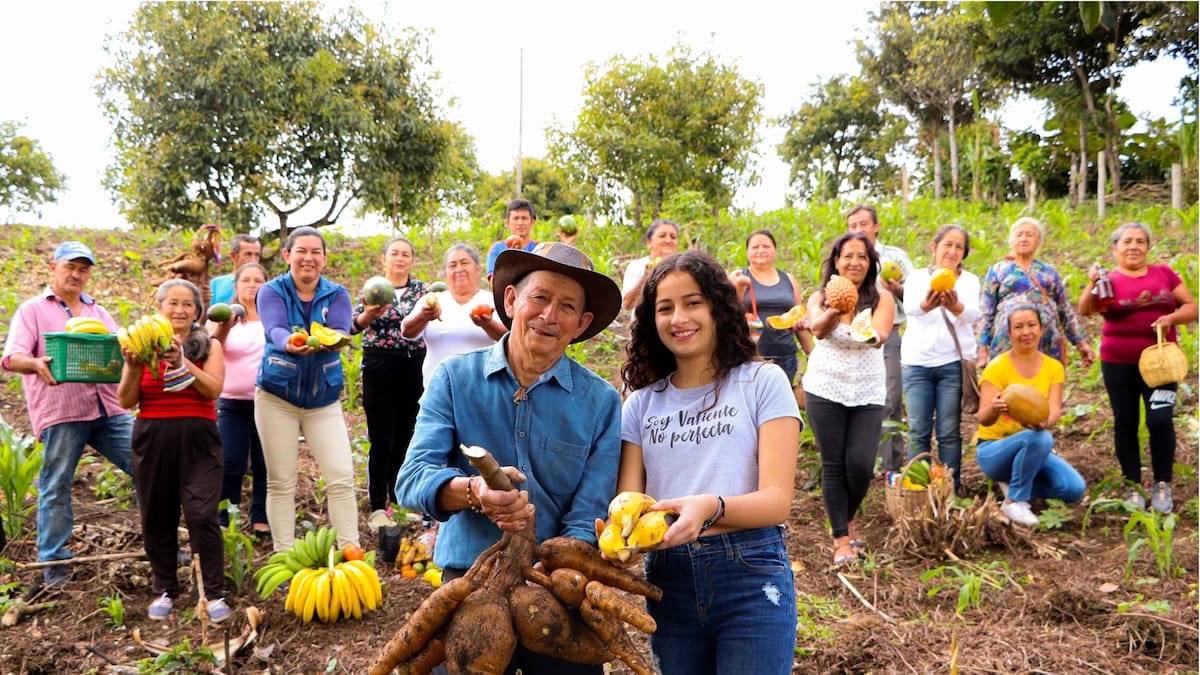 Precios de alimentos presentan comportamiento mixto en abril