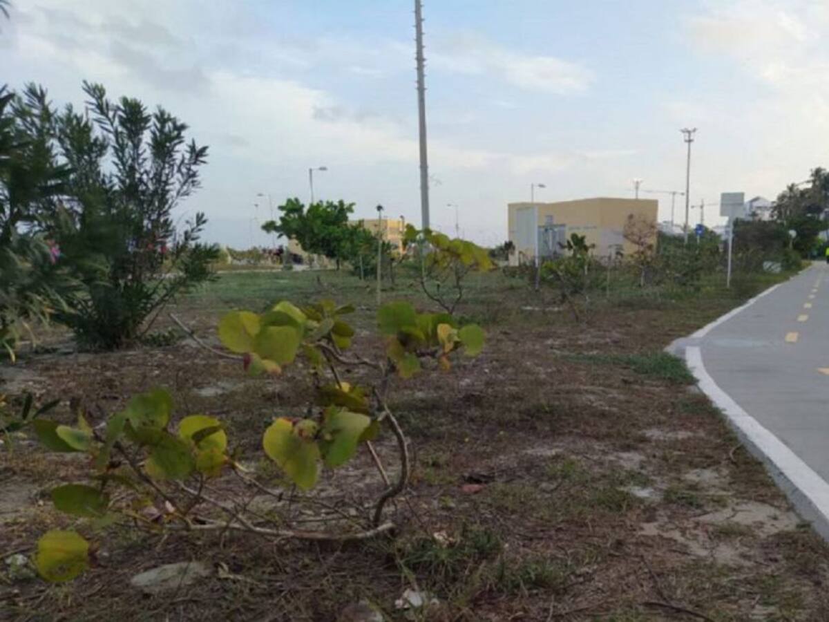 ANI y Ruta Costera iniciarán intervención en el parque lineal de Crespo