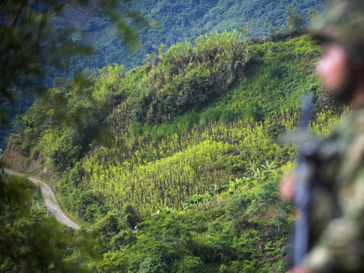 Crecimiento de atentados pueden provenir de disidencias de las Farc: gobernador de Cauca