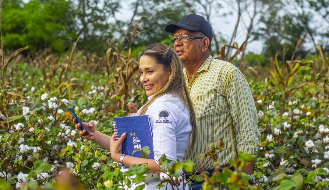 Alejandro Polo, algodonero. 