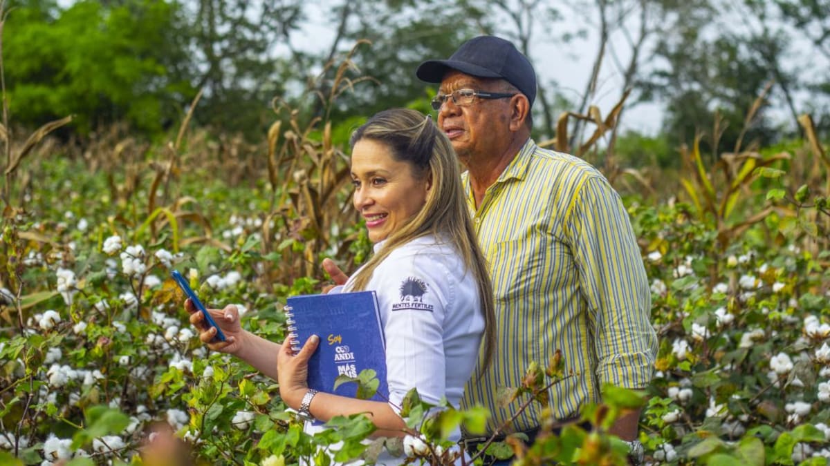 Algodón en Cereté, una cosecha de logros