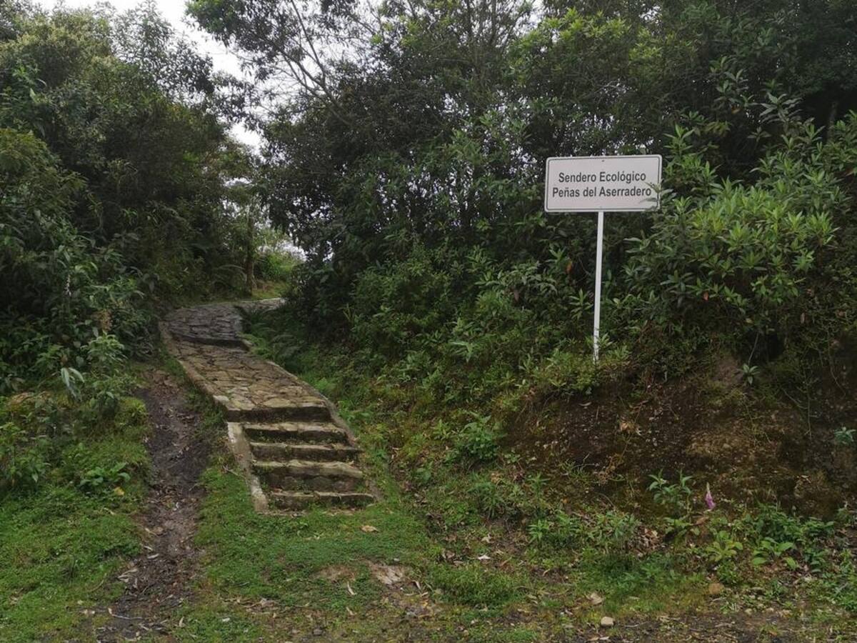 La CAR recategorizará reserva natural de Sasaima para que haga parte del Sistema de Áreas Protegidas