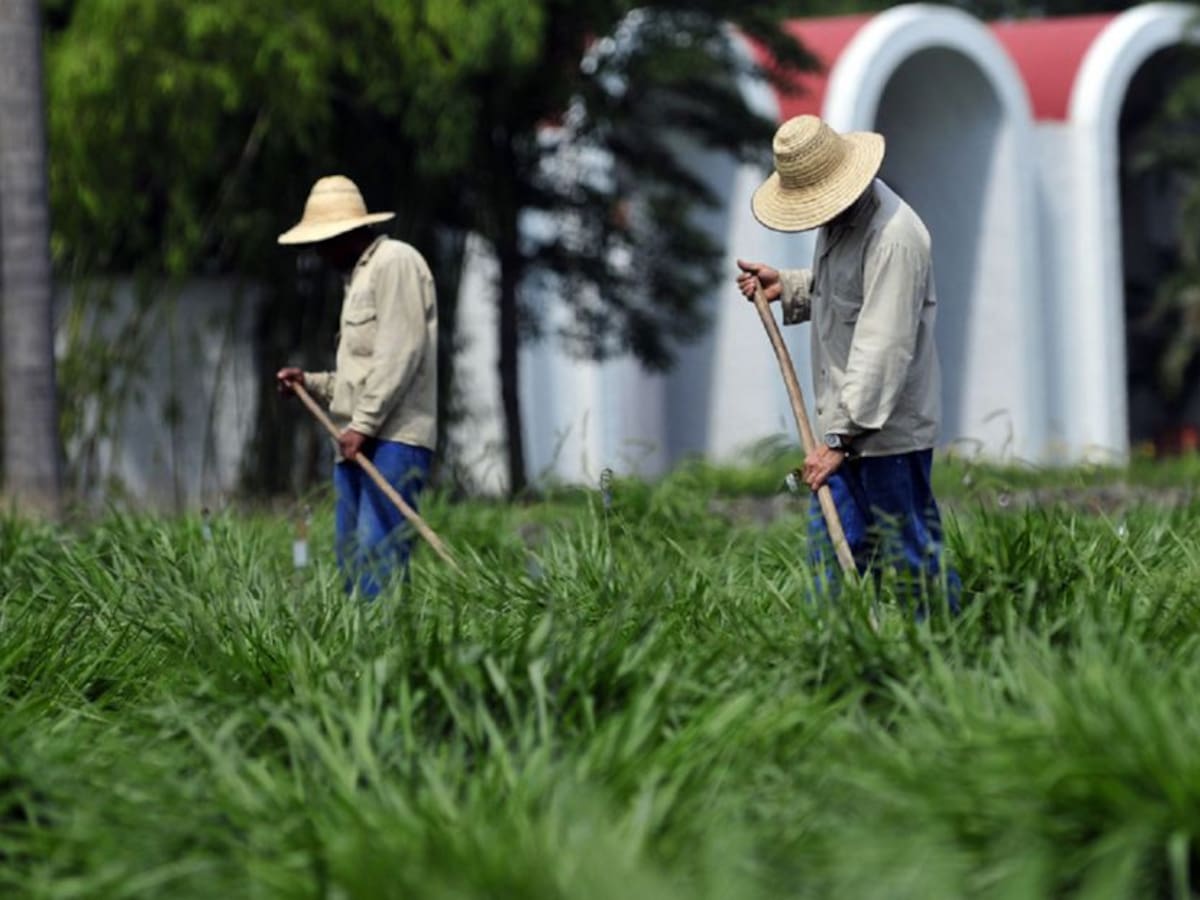 Gobierno aprobó esquemas de salud para excombatientes en el 2021