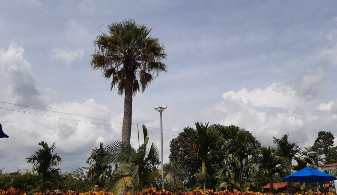 Todos los días escuche la información local en Caracol Radio 5:45, 6:45, 7:45,  8:45 y 945 a.m. 