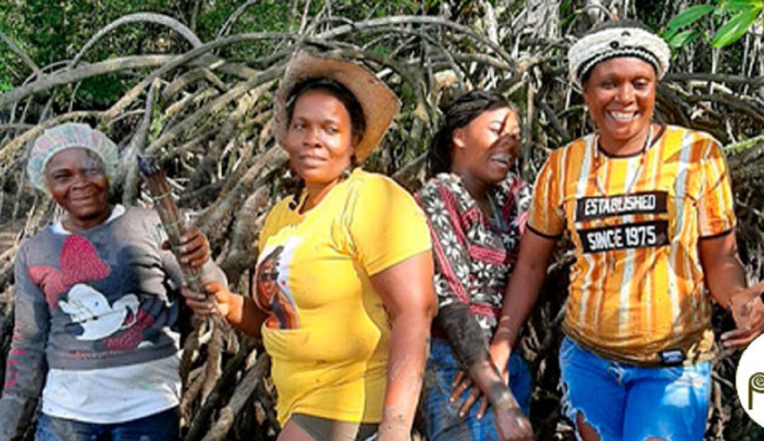 Socialización de proyectos PDET muestran avances de género en Cauca