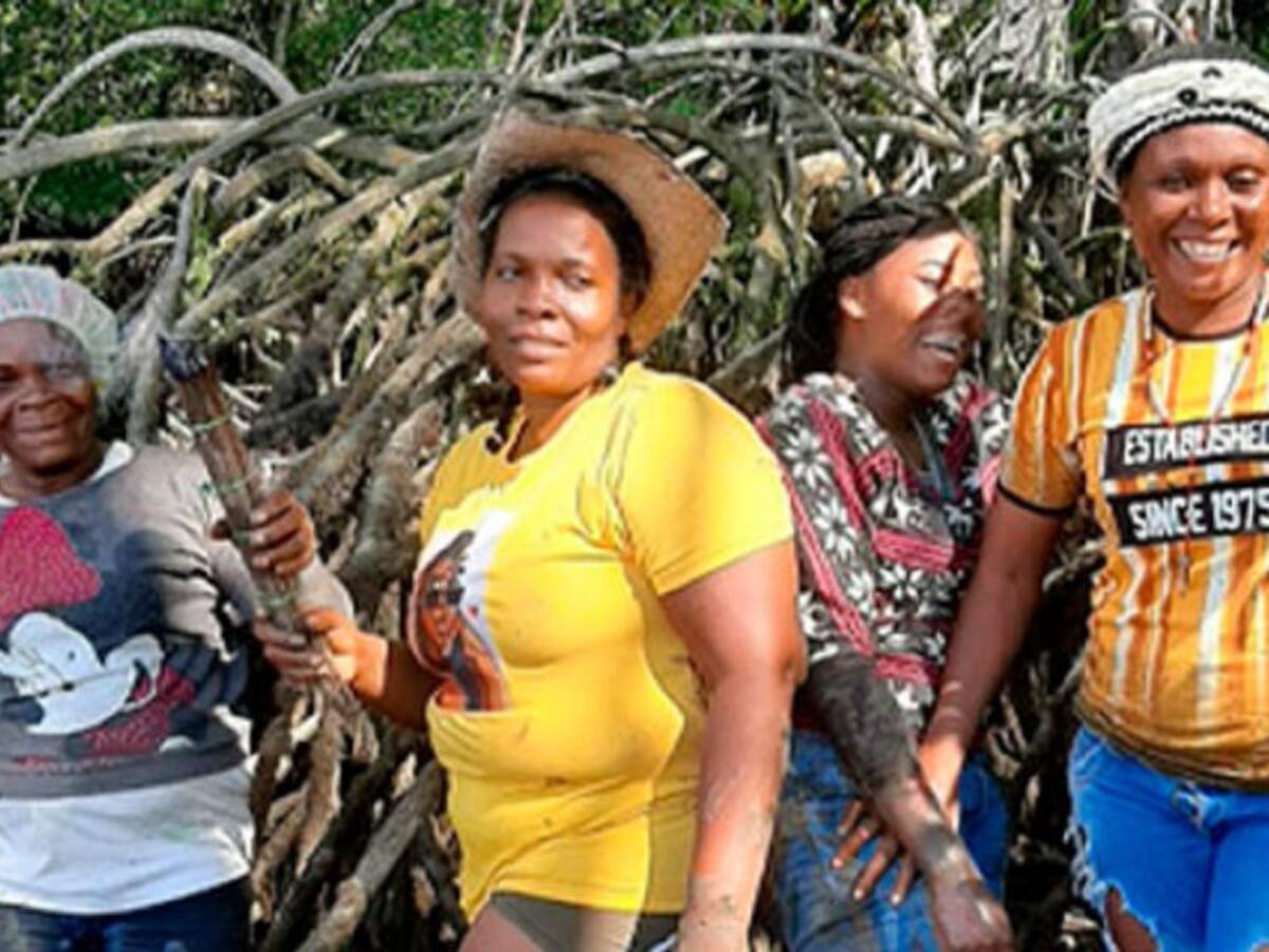 Socialización de proyectos PDET muestran avances de género en Cauca