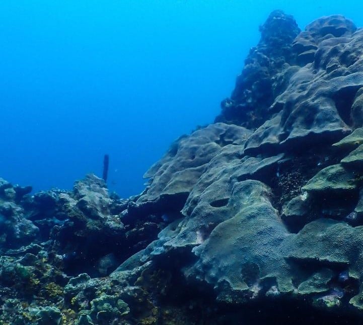 Cartagena avanza en la protección de 2.731 hectáreas del arrecife de Varadero