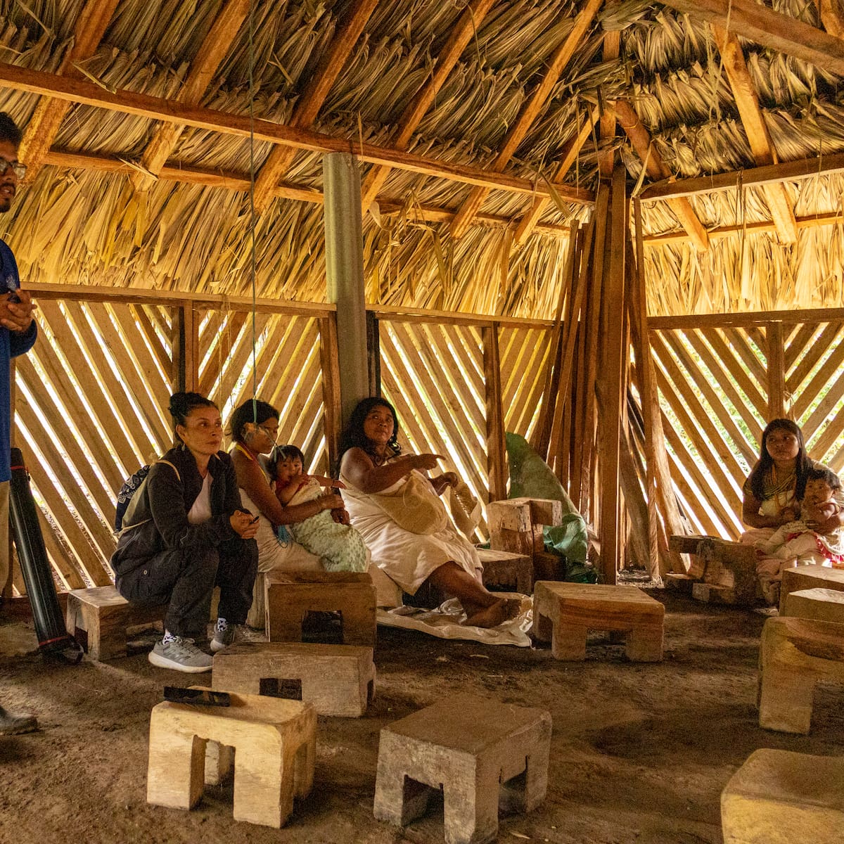 La Ciénaga Grande de Santa Marta se transforma: resultados reales de un trabajo conjunto