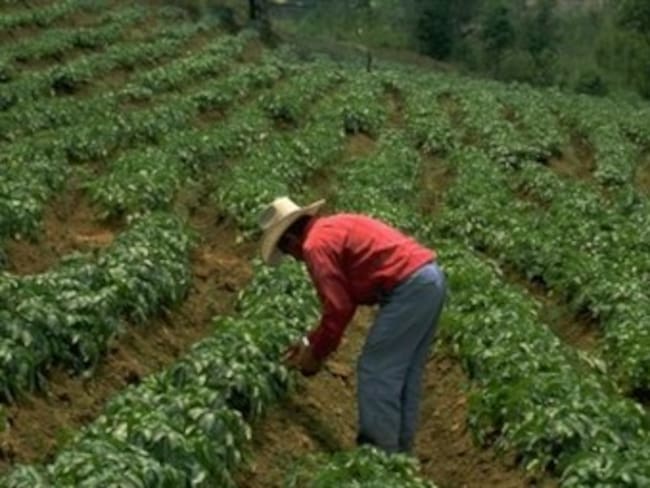 En Colombia hay cerca de 16 millones de hectáreas de tierras improductivas: DIAN